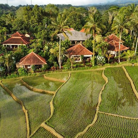 Hotel Sava Eco Retreat Padangan  Exterior foto
